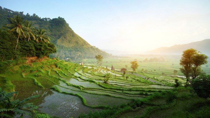 BALI - most beautiful islands in the world