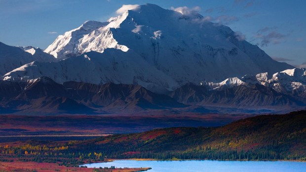 RUB YOUR NOSE IN THE TUNDRA AT DENALI NATIONAL PARK