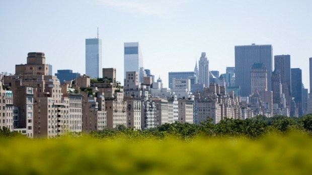 VISIT THE METROPOLITAN MUSEUM OF ART & ROOFTOP