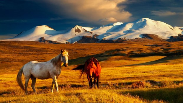 MONGOLIA IS AN EMERGING TRAVEL DESTINATION