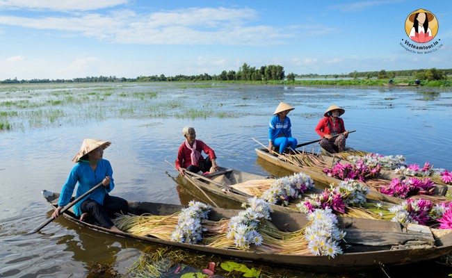 reach vietnam from india by sea