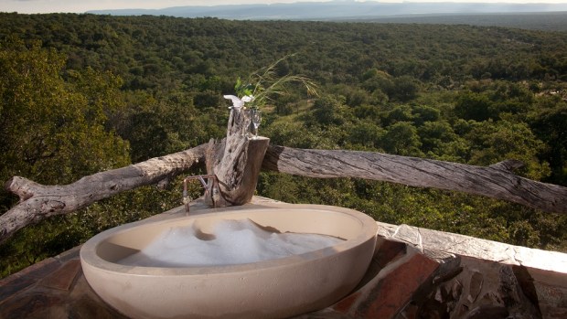 THE ANT COLLECTION, SOUTH AFRICA