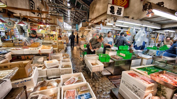 GET UP EARLY FOR TOKYO'S TSUKIJI FISH MARKET