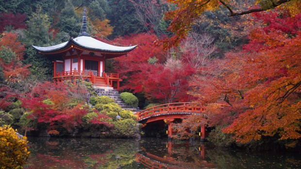 EXPLORE KYOTO'S ANCIENT SITES