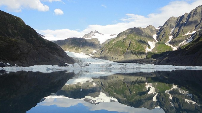 TAKE A WILDLIFE CRUISE TO KENAI FJORDS GLACIER LODGE (ALASKA, USA)