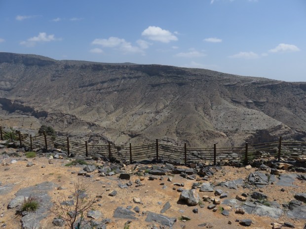 RIDGE VIEW SUITE: VIEW