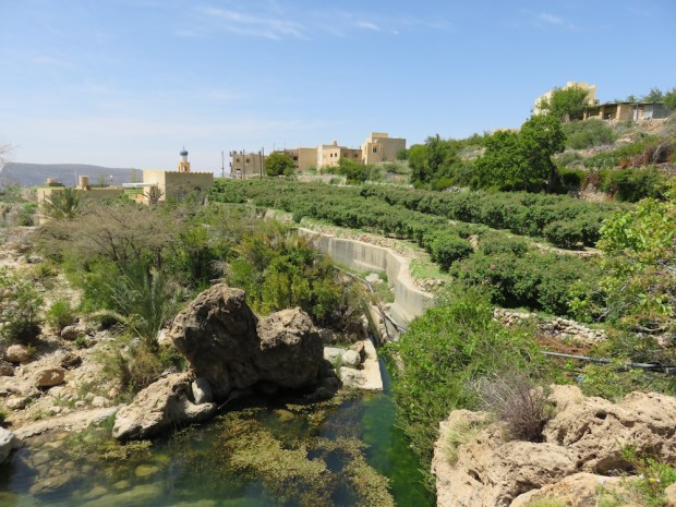 LOCAL VILLAGE (ROSE GARDEN)