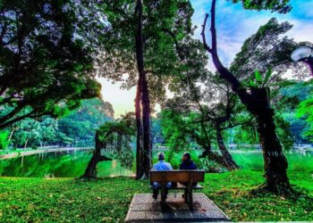 Bach Thao Park – Hanoi Botanical Garden