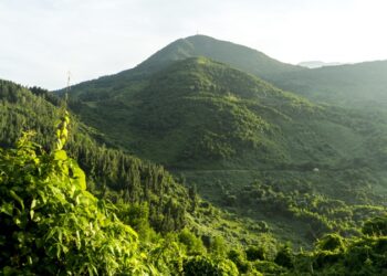 Bach Ma National Park