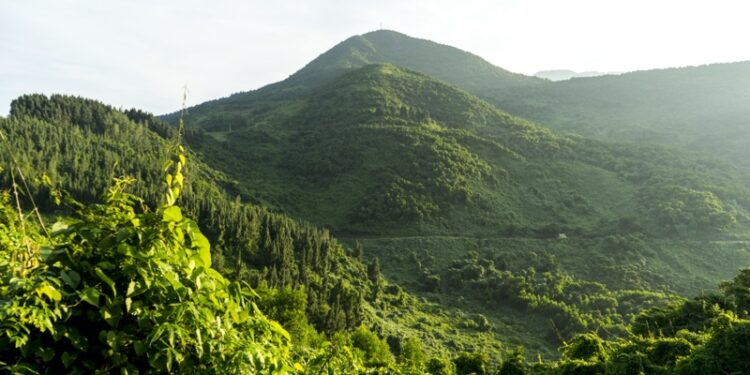 Bach Ma National Park