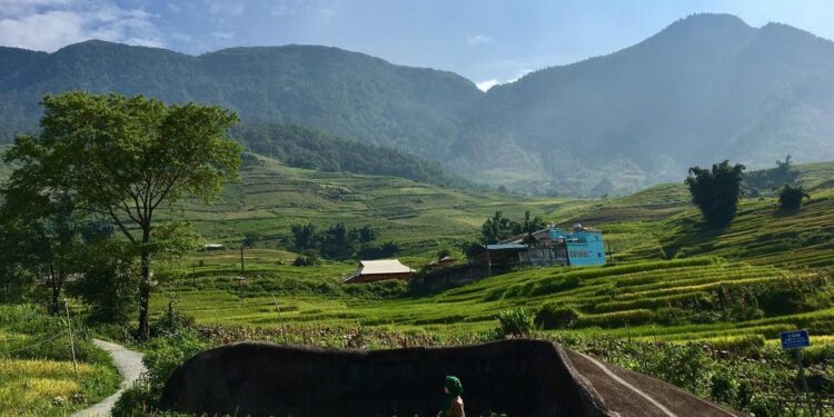 Ancient Stone Field in Sapa