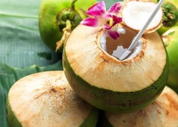 The 5 Summer Coolers of Ho Chi Minh City