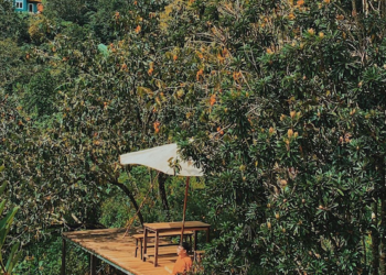 3 Most Romantic Travel Destinations In Vietnam