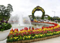 Dalat Flower Gardens