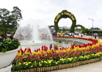 Dalat Flower Gardens