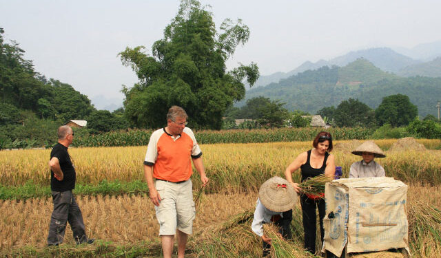 Vietnamese farmers’ day work