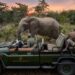 Top 10 most exclusive safari lodges in Africa