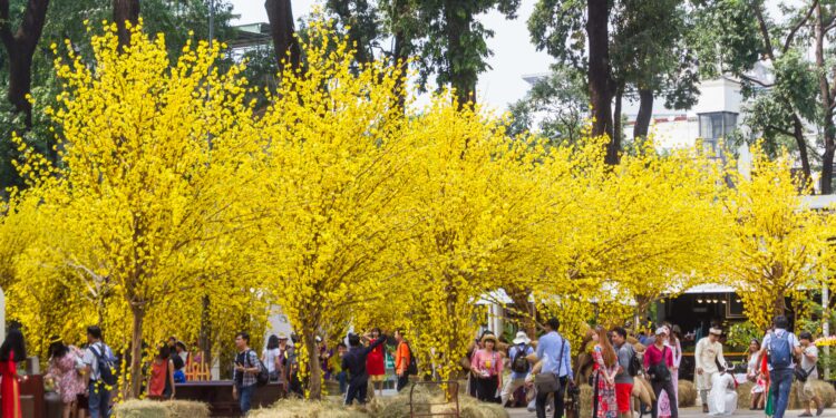 My heart can feel Tet