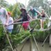 Vietnam Monkey Bridge – A Dangerous Bridge in The World.