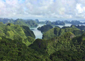 Cat Ba National Park