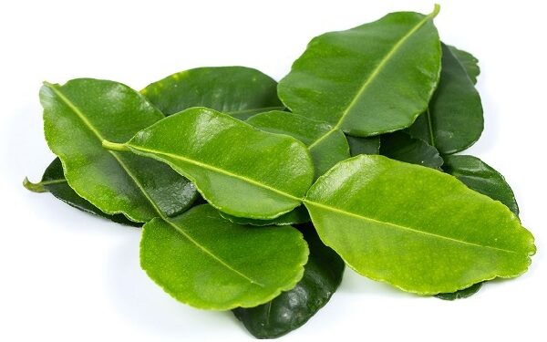Kaffir Lime Leaf
