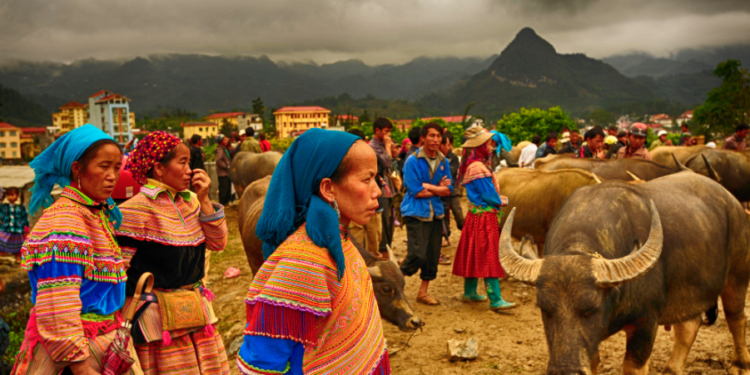 Bac Ha Market