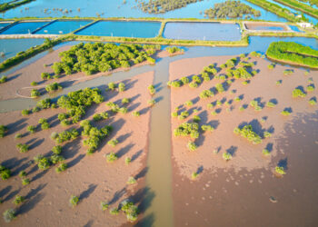 Xuan Thuy National Park