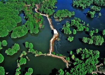 Vam Sat Ecological Tourist Center