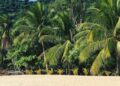 5 Best Islands in Vietnam from North to South