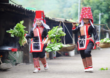 Explore, Relax, and Play in Northern Vietnam 