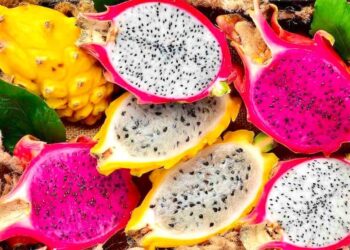Dragon Fruit