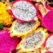 Dragon Fruit