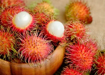 Rambutan in Vietnam