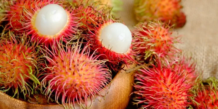 Rambutan in Vietnam