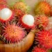 Rambutan in Vietnam