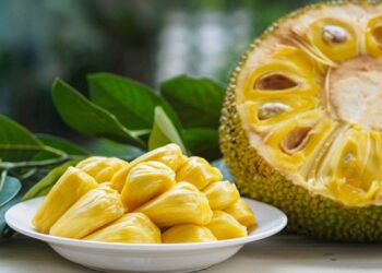 Vietnam’s jackfruit