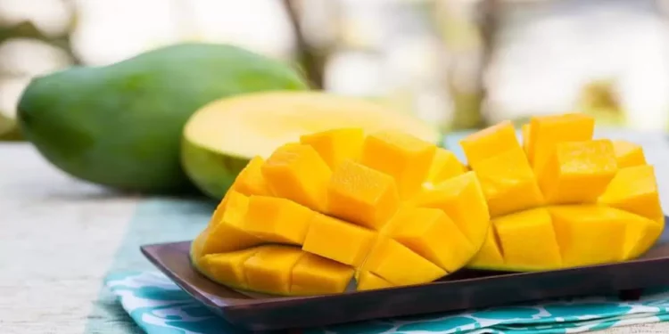 The Most Delicious Tropical Fruits of Vietnam