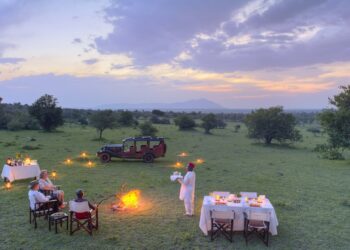 Top 10: African safari adventures for families
