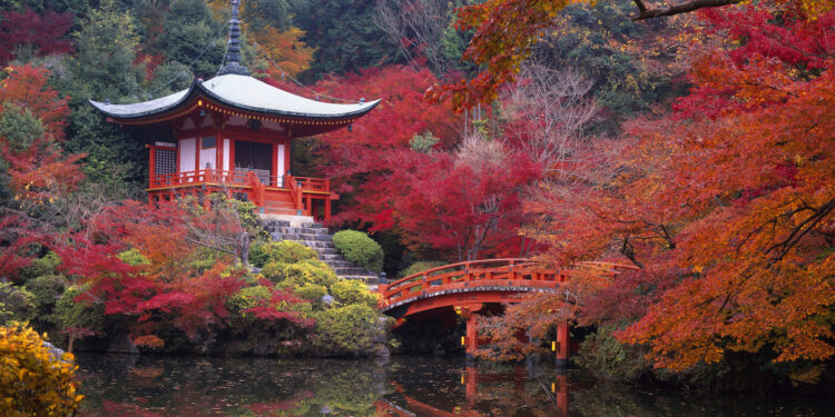 Top 10: things to see & do in Japan