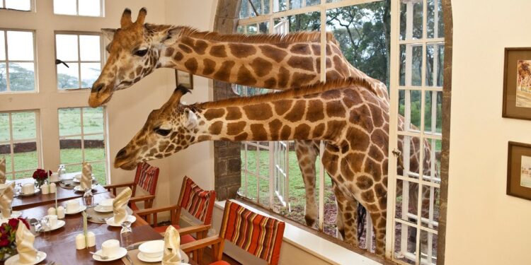 Top 10 most unusual and unique hotels in the world