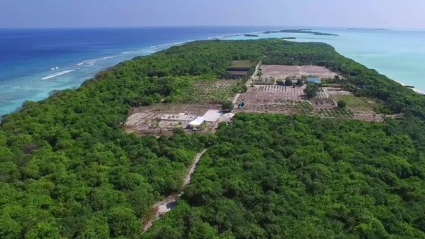 LUSH GARDENS & LABYRINTH